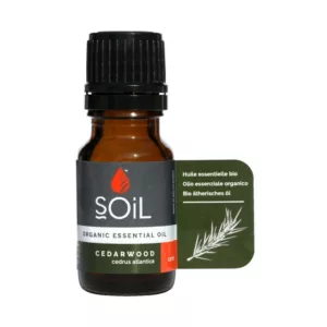 Soil Cedarwood Oil 10ml (Cedrus Atlantica)